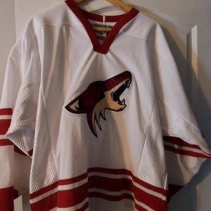 Arizona Coyotes Jersey